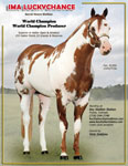 T_10-LuckyChance.jpg